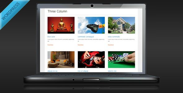 TS Display – Portfolio and Gallery Plugin - Melhores plugins para portfolio de clientes