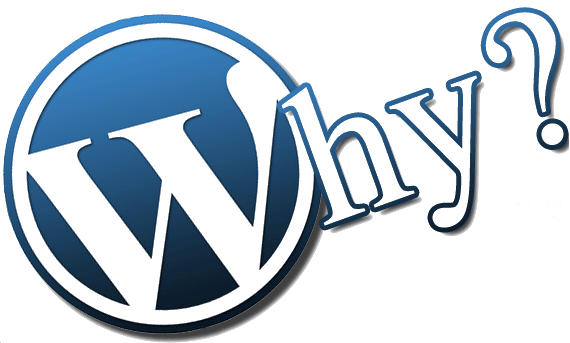 Devo utilizar o Wordpress?